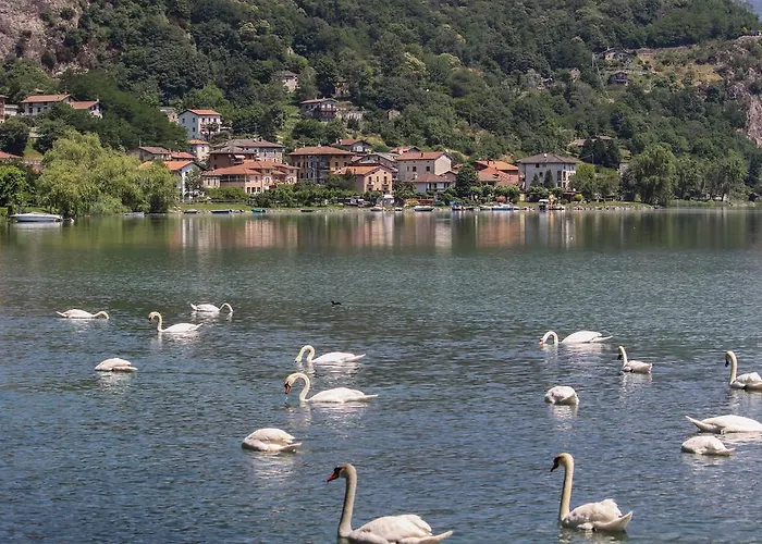 Del Mera Сорико