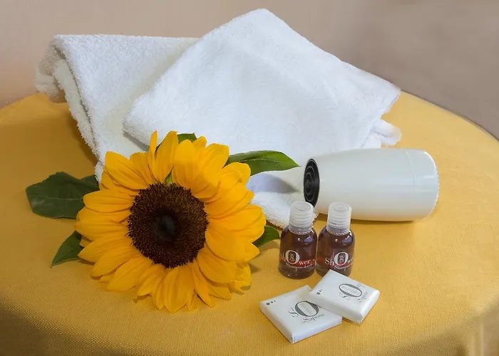 Отель Del Mera Сорико